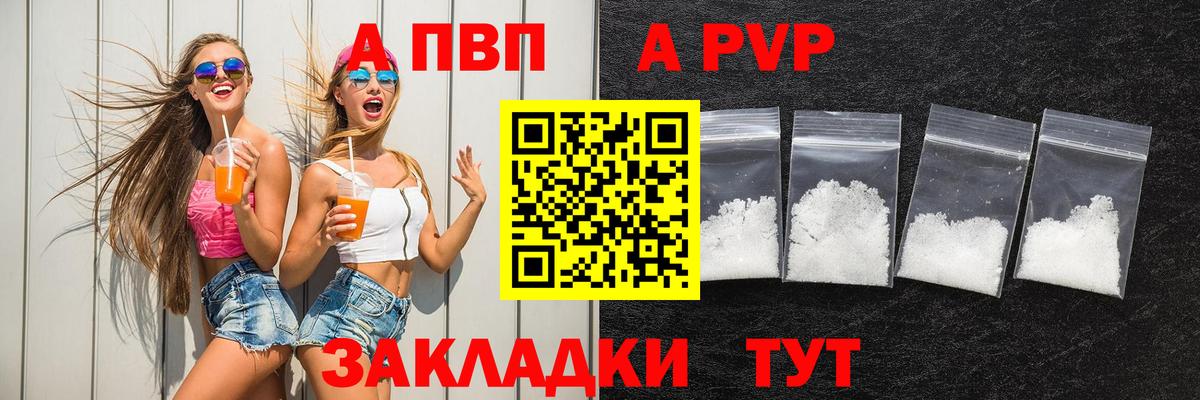 Альфа ПВП СК КРИС Ленинск-Кузнецкий