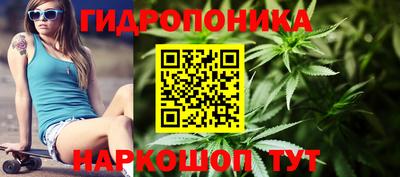 ешки Камень-на-Оби