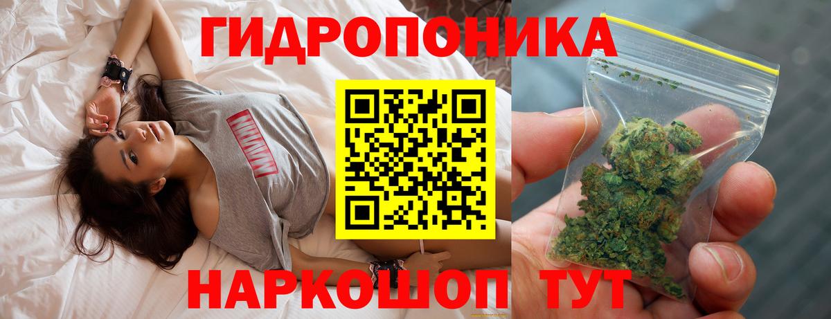 Шишки марихуана сатива Ленинск-Кузнецкий